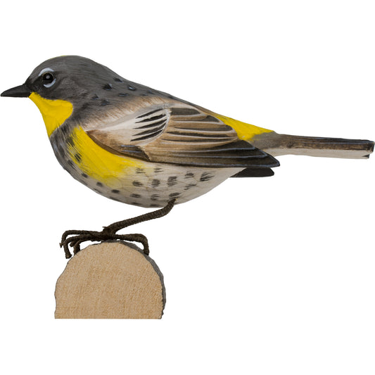 DecoBird Curruca Coliamarilla