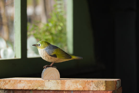 DecoBird Ojo de Plata