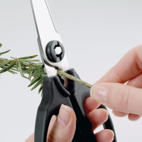 Ideales para repelar hierbas aromáticas