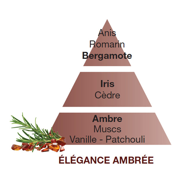 Parfum de Maison Elégance Ambré