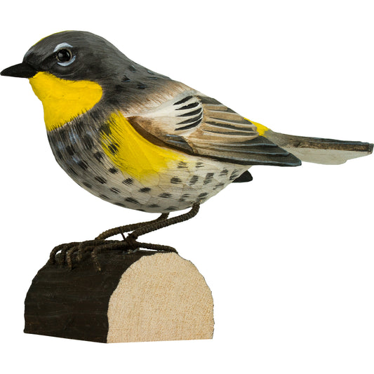DecoBird Ojo de Plata