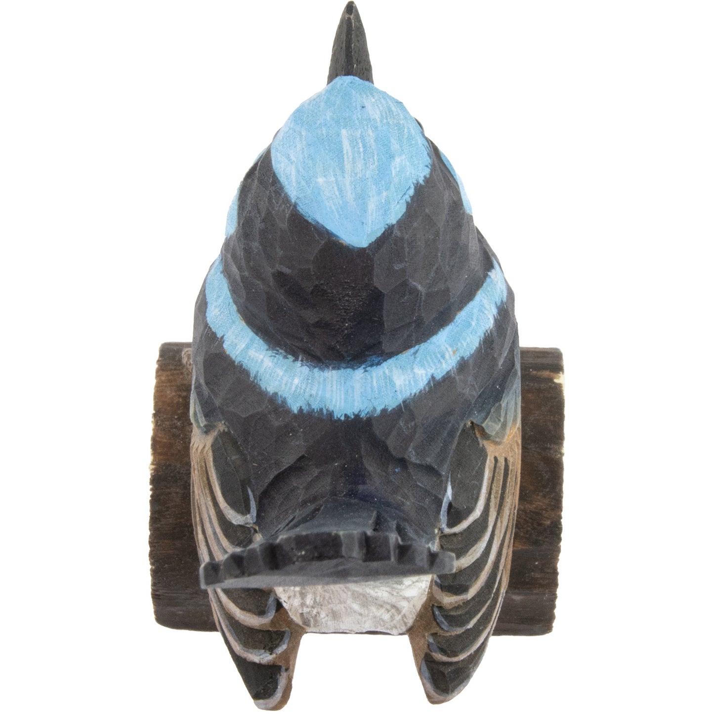 DecoBird Chochín Azul Magnífico