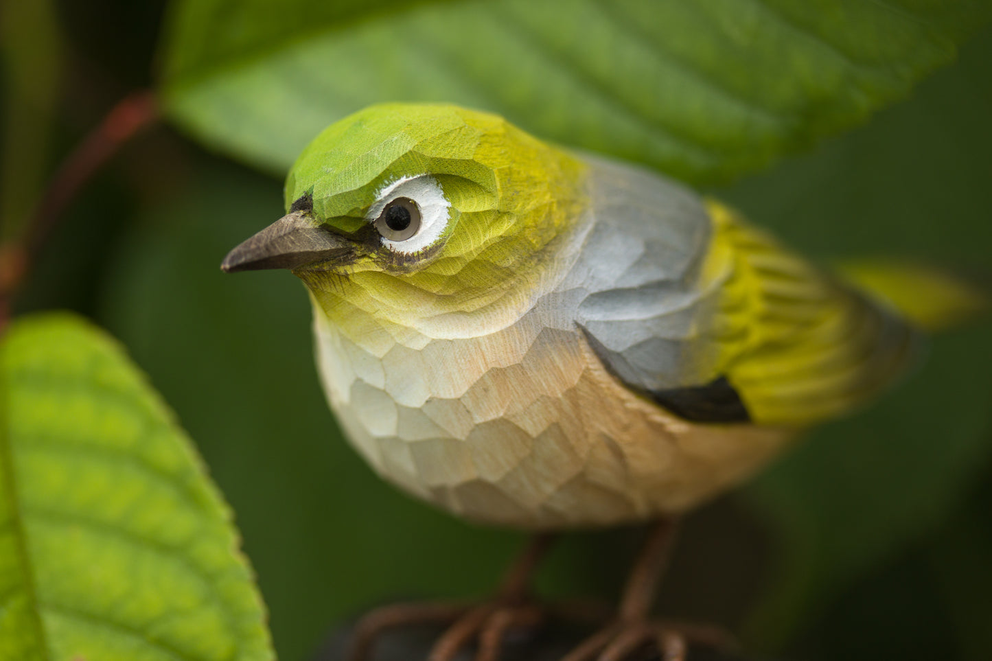 DecoBird Ojo de Plata