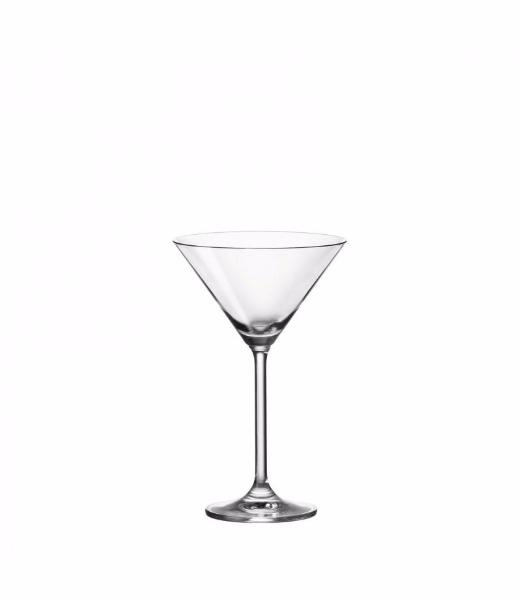 Copa coctel daily