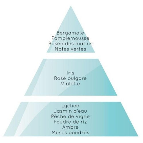 Pirámide Paris Chic